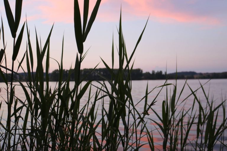 Durch sanfte grüne Hügel rund um den Waginger See