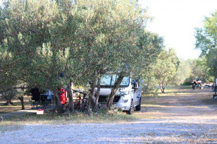 Der Campingplatz Mindel liegt inmitten eines Olivenhains. Das selbst produzierte Olivenöl ist goldfarben und köstlich.