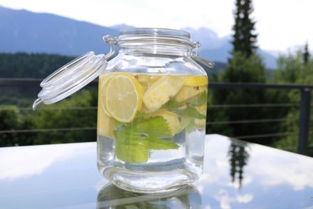Wasserfrüchtchen - Wasser mit Geschmack durch Zitronenscheiben, Ananas und Zitronenmelisse.
