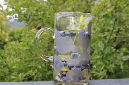 Wasser mit mehr Geschmack - Stachelbeeren, Heidelbeeren und Minze.