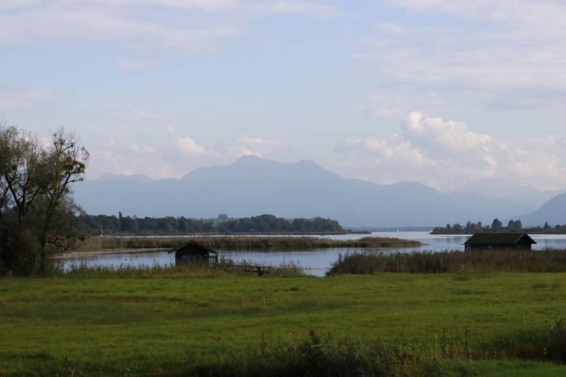 Das schönste Stück vom Chiemsee Radweg geht von Prien nach Gstadt mit viel Natur und immer neuen Seeblicken.