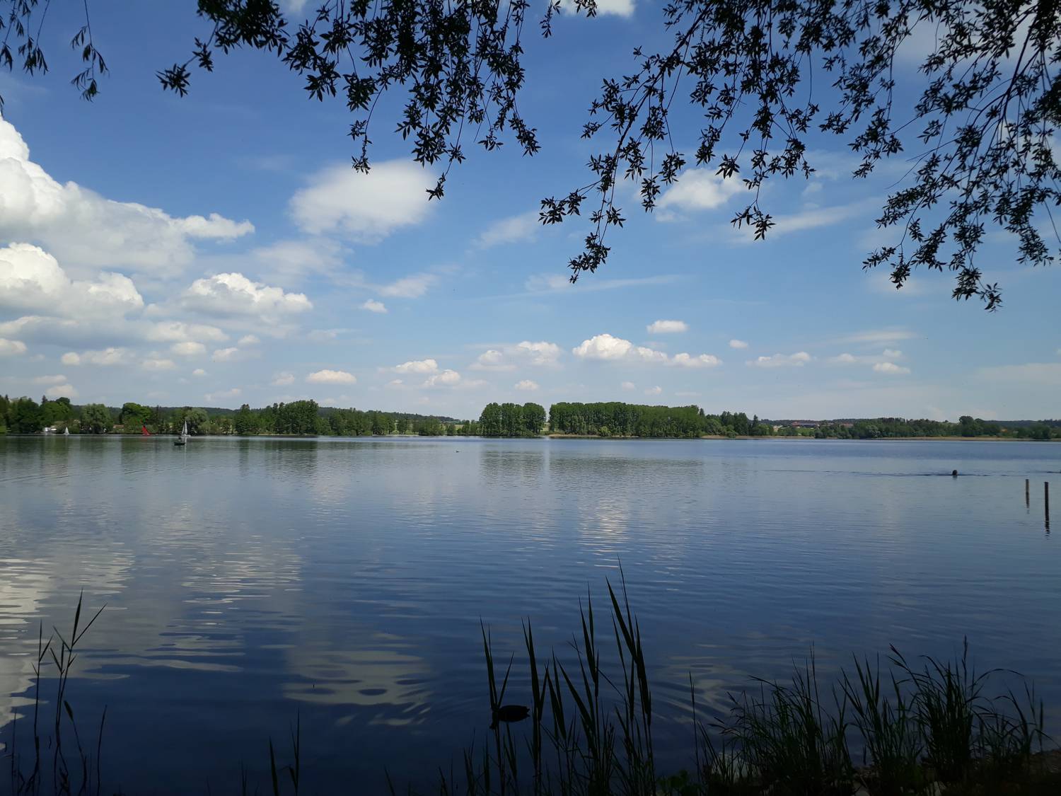 Durch sanfte grüne Hügel rund um den Waginger See