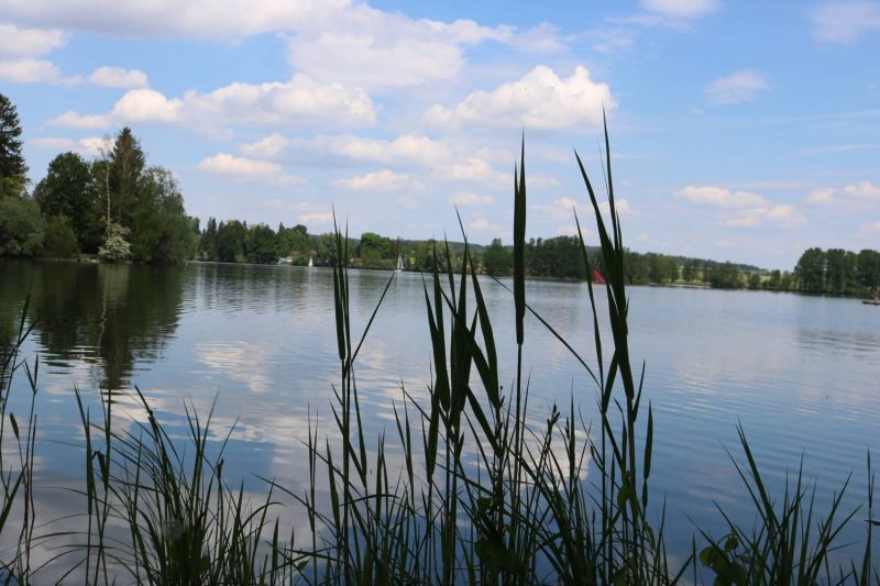 Am Ufer des Waginger Sees am Camping Schwanenplatz.