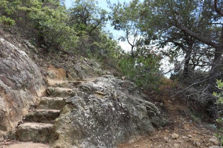 Steintreppen führen einen wieder vom Meerlevel hinauf auf die Klippen.