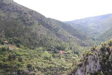 Die D2566 ist eine der berühmtesten Straßen im Hinterland der Provence.