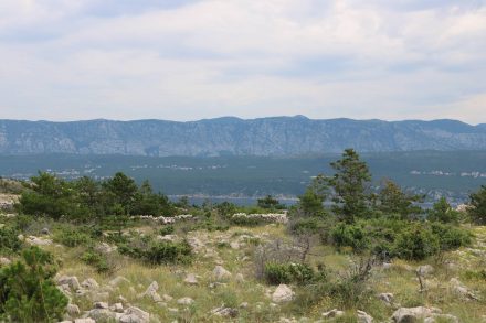 Kurz vor Cizici mit Blick aufs Festland.