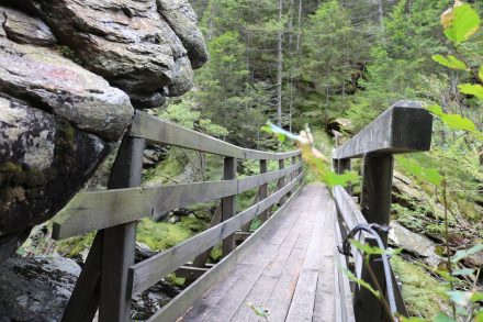 Eine Holzbrücke führt zum Alpenvereinsteig.