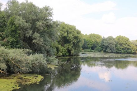 Der Pegnitzgrund ist ein fast naturbelassenes Naherholungsgebiet im Herzen der Stadt.