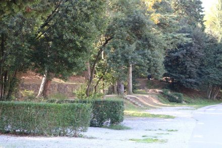Zwischen schönem Baumbestand sind die Campsites am Camping Lucija aufgereiht.