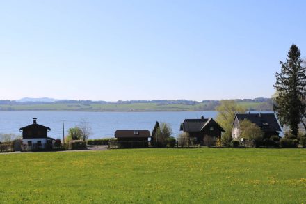 Die Sommerhäuser am Wallersee haben eine schöne Aussicht über den glasklaren See.