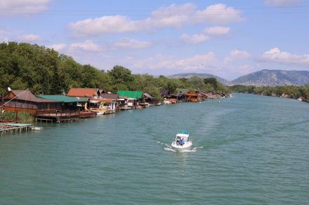 Wie die Fische, so schwimmt auch dieses Boot landeinwärts.