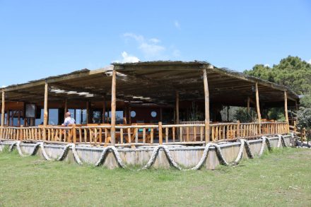 Das Safari Beach Camp in Ulcinj hat auch ein tolles Restaurant direkt am Strand.