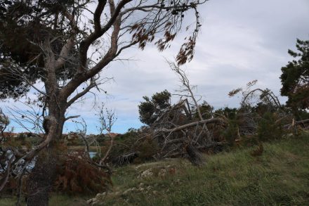 Die Bora, ungewöhnlich für Mai, hat viele Schäden in Dalmatien angerichtet.