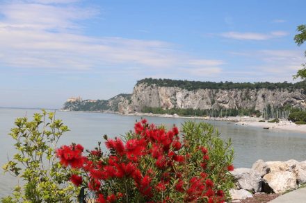 Campingstopp für Triest und eine Wanderung zum Schloß Duino