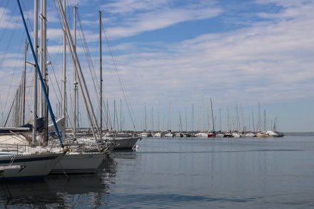 Zahlreiche Segelboote im Hafen von Sistiana.
