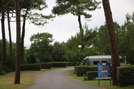 Große Stellplätze im Grünen oder direkt an der Steilküste im Camping Le Pavillon Royal.