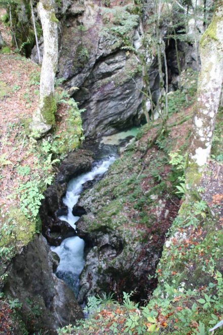 Tief unten zwischen den grün bewachsenen Felsen fließt die Mostnica.