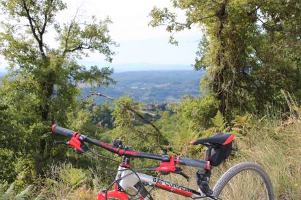Im Chianti mit dem Fahrrad zum Mittelalterdorf Volpaia
