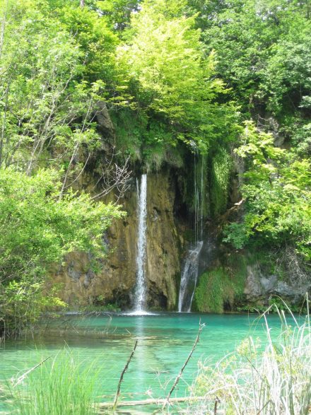 Viel grüne Flora, türkisfarbenes Wasser und endlos viele Wasserfälle im Nationalpark Plitvicer.