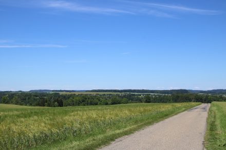 Sanfte, grüne Hügel auf der ersten Etappe des Neckartal Radwegs