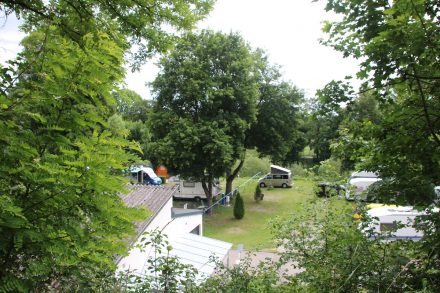 Grüner Campingplatz direkt am Neckar und in Gehnähe zur Innenstadt von Tübingen.