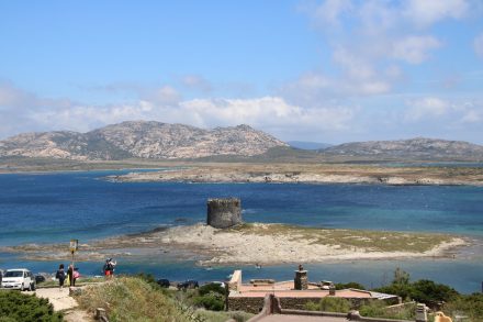 Blick von Campo del Falcone auf die Insel Asinara