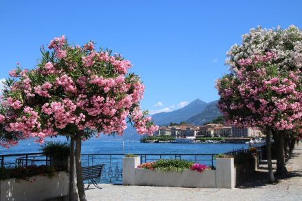 Ausflug nach Bellagio am Comer See